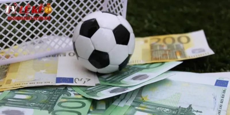 Chiến thuật cá cược hiệu quả 