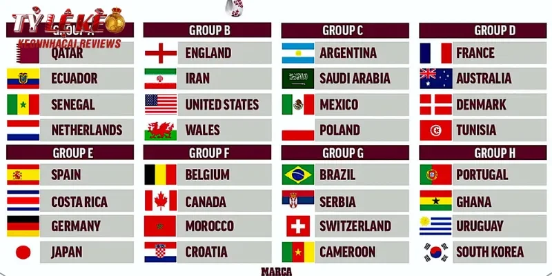 Cung cấp lịch thi đấu chi tiết